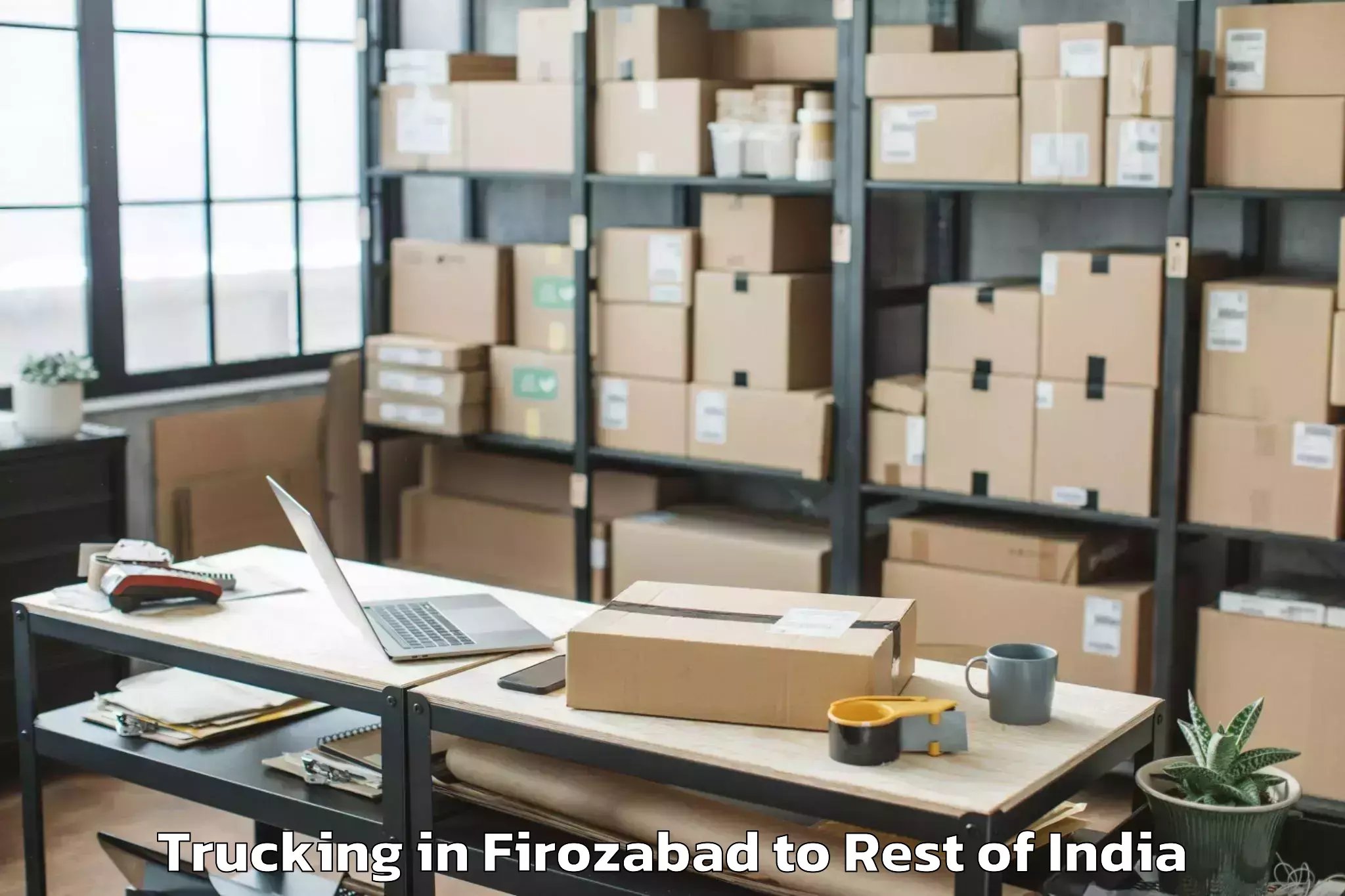 Book Firozabad to Kamarposh Trucking